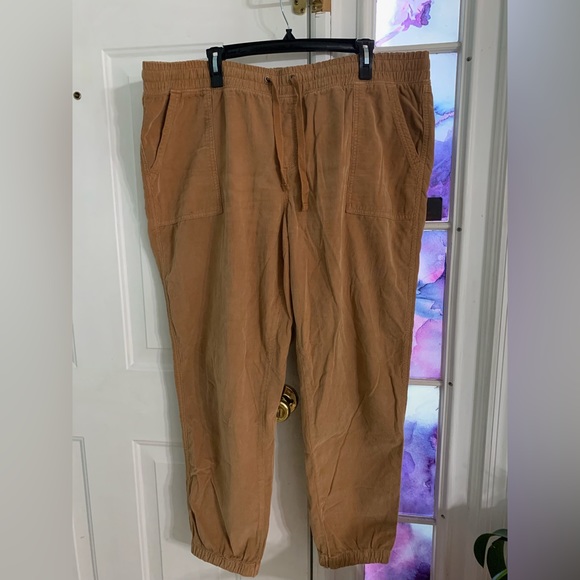 Light Brown Pants - Picture 1 of 2